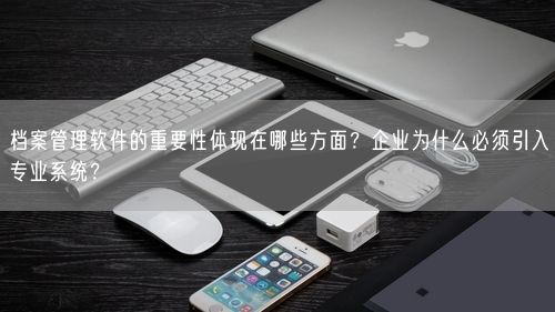 档案管理软件的重要性体现在哪些方面？企业为什么必须引入专业系统？