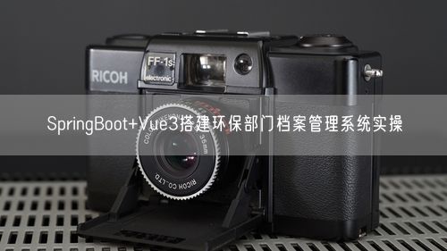 SpringBoot+Vue3搭建环保部门档案管理系统实操