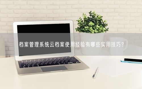 档案管理系统云档案使用经验有哪些实用技巧？