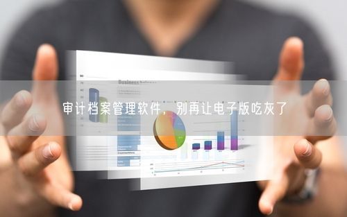 审计档案管理软件，别再让电子版吃灰了