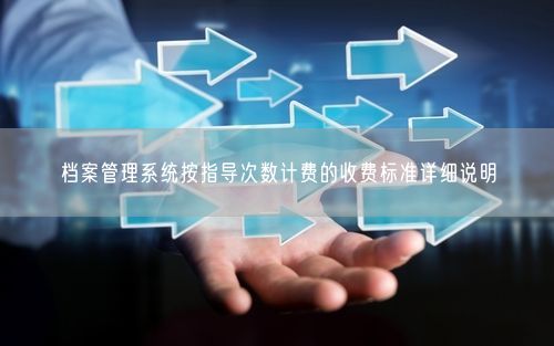 档案管理系统按指导次数计费的收费标准详细说明