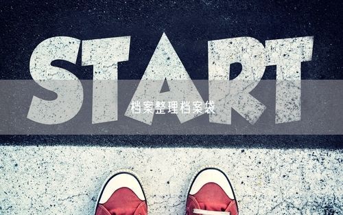 档案整理档案袋