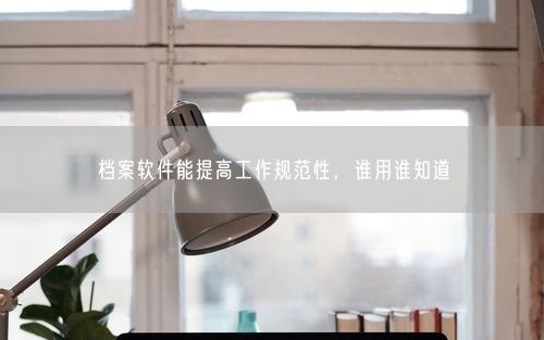 档案软件能提高工作规范性，谁用谁知道