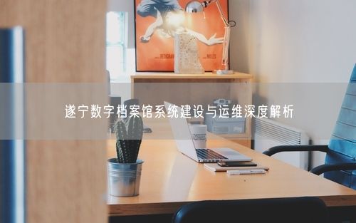 遂宁数字档案馆系统建设与运维深度解析