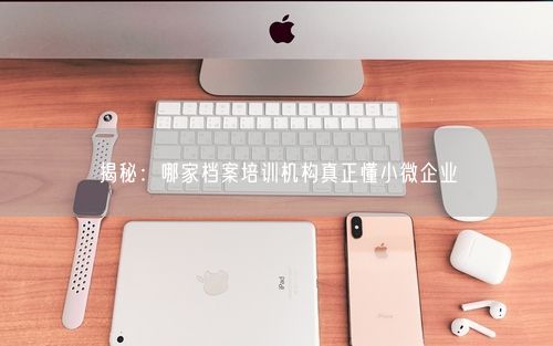 揭秘：哪家档案培训机构真正懂小微企业