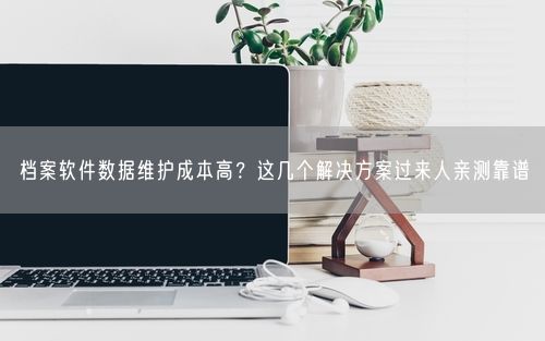 档案软件数据维护成本高？这几个解决方案过来人亲测靠谱