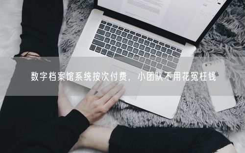 数字档案馆系统按次付费，小团队不用花冤枉钱