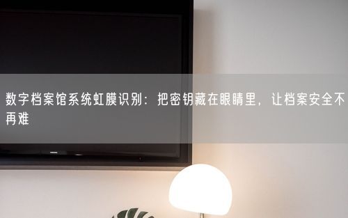 数字档案馆系统虹膜识别：把密钥藏在眼睛里，让档案安全不再难