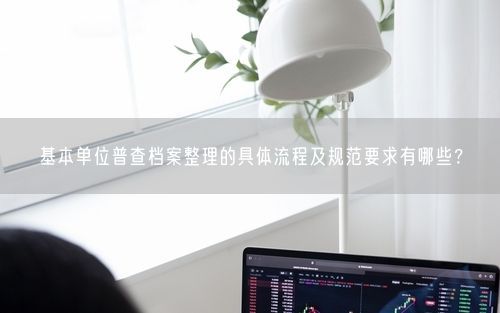 基本单位普查档案整理的具体流程及规范要求有哪些？