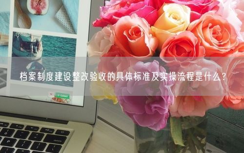档案制度建设整改验收的具体标准及实操流程是什么？