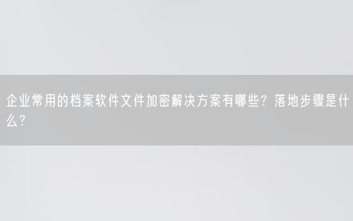 企业常用的档案软件文件加密解决方案有哪些？落地步骤是什么？