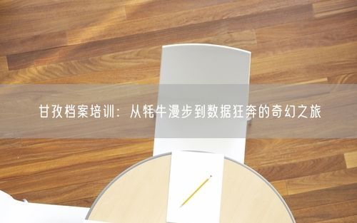 甘孜档案培训：从牦牛漫步到数据狂奔的奇幻之旅