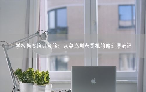 学校档案培训经验：从菜鸟到老司机的魔幻漂流记