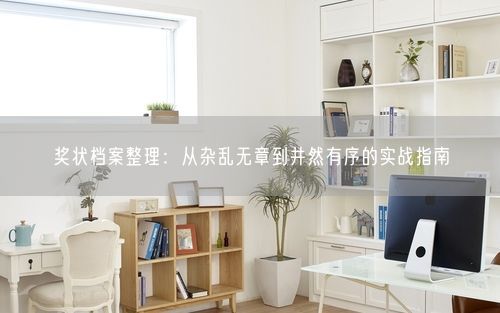 奖状档案整理：从杂乱无章到井然有序的实战指南