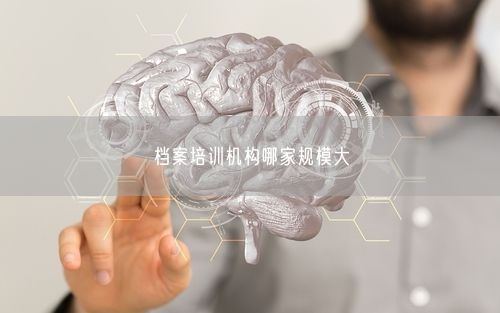 档案培训机构哪家规模大