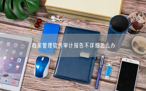 档案管理软件审计报告不详细怎么办
