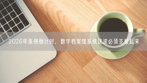 2026年条例倒计时，数字档案馆系统这波必须支棱起来