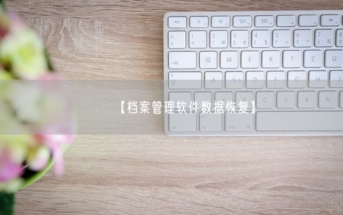 【档案管理软件数据恢复】