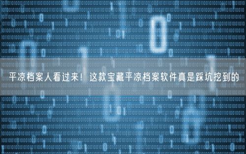 平凉档案人看过来！这款宝藏平凉档案软件真是踩坑挖到的