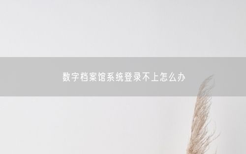 数字档案馆系统登录不上怎么办
