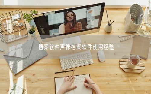 档案软件声像档案软件使用经验