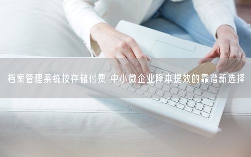 档案管理系统按存储付费 中小微企业降本提效的靠谱新选择