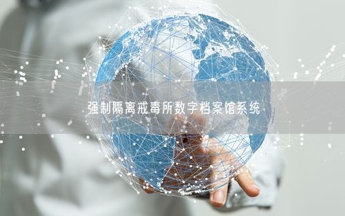 强制隔离戒毒所数字档案馆系统