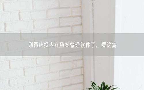 别再瞎找内江档案管理软件了，看这篇