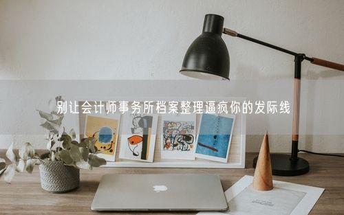 别让会计师事务所档案整理逼疯你的发际线