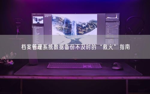 档案管理系统数据备份不及时的“救火”指南